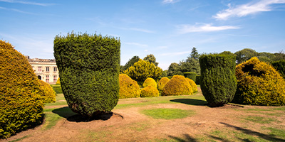 view of a playground with trees and benches surrounded by residential buildings reflecting community life and outdoor fun for all ages in a vibrant setting with seven children playing outside